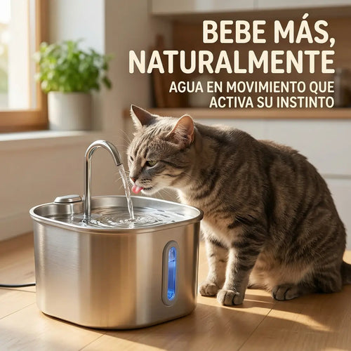 Bebedero Mivioo™ | Dispensador de agua. Mascotas